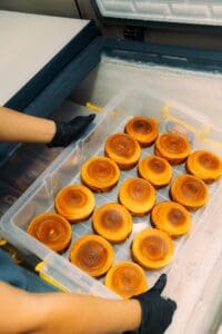 Simpan pastry di freezer untuk usia produk yang lebih panjang