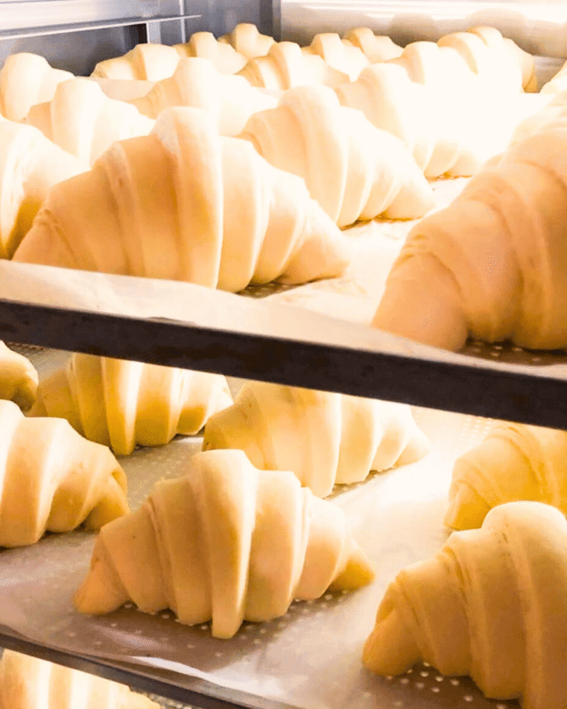 Croissant Mengembang Sempurna Saat Proofing