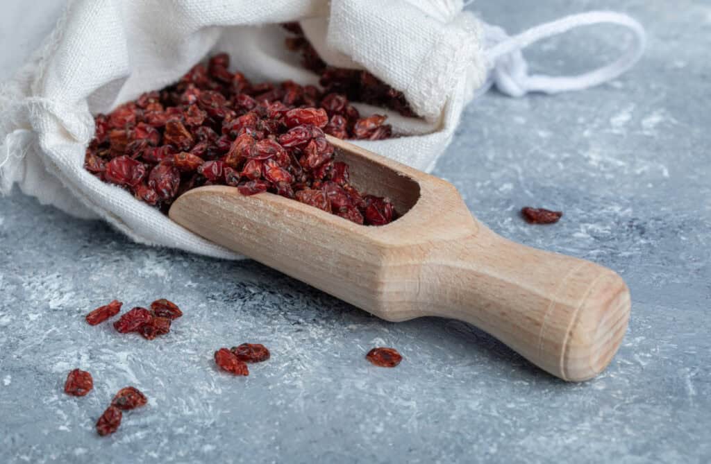 Cranberry Sentuhan Segar di Pastry Premium